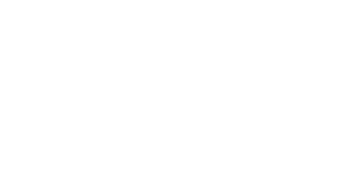 لوگو برند PHETCH